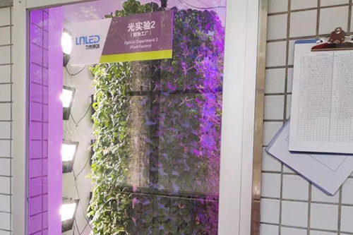 力儂光測試試驗(yàn)室里的氣霧栽培